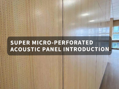 Panneau acoustique micro-perforé avec noyau de nid d'abeille d'aluminium Nouveau design