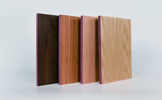 E1 Grade Super Micro Perdorated Acoustic Panels For Interior Sound Aborpbing
