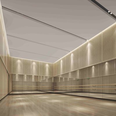 High NRC Natural Veneer Perforated Acoustic Wood Panels For Commercial Office