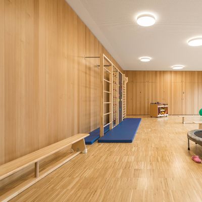 Premium Finish Micro Perforated Acoustic Wood Panels for Office Interiors