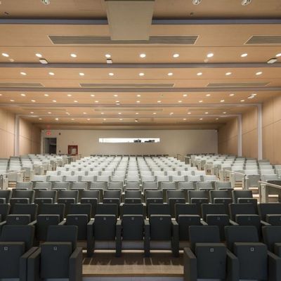 Custom Micro Perforated Wood Board , Fire Resistant Perforated Wood Ceiling Panels