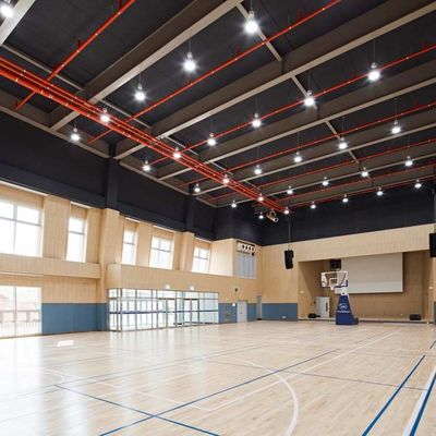 Sound Absorbing Suspended Wood Panel Ceiling , Perforated Wood Acoustic Panels 12mm
